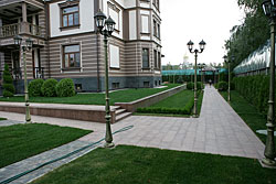 Создание газонов, посадка кустарников