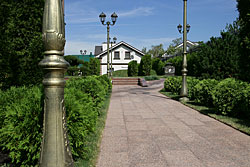 Посадка кустарников
