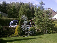 Элементы ландшафтного дизайна