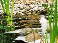 Использование камней для украшения водоема